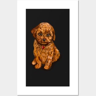 Cavapoochon Cavapoo Cavoodle - cute cavalier King Charles spaniel Bichon frise Posters and Art